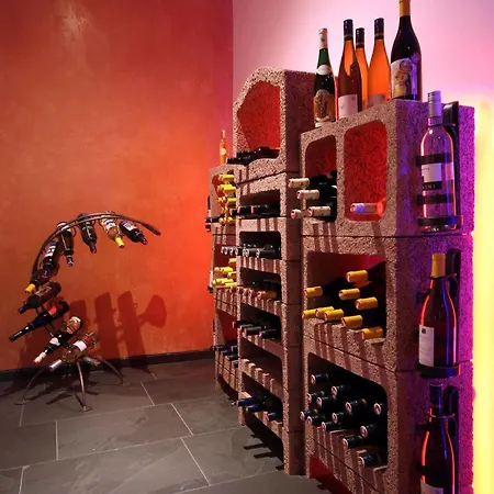 호텔 Kuschelhotel Zeman